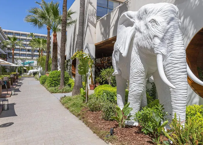 INNSiDE by Meliá Alcudia
